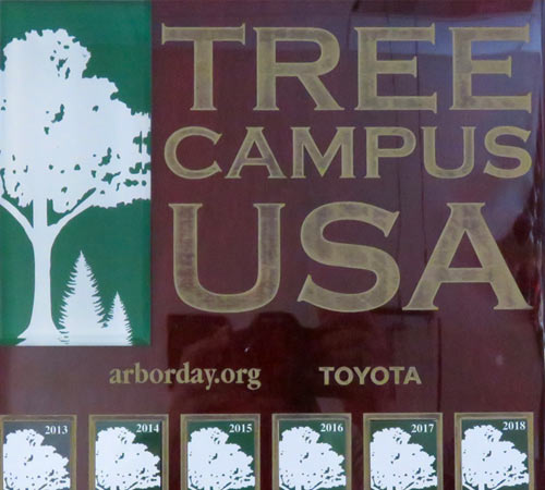 clayton state tree campus usa award